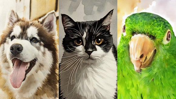 Watercolor pet portrait 3 examples of different watercolor effects applied to precious pets.