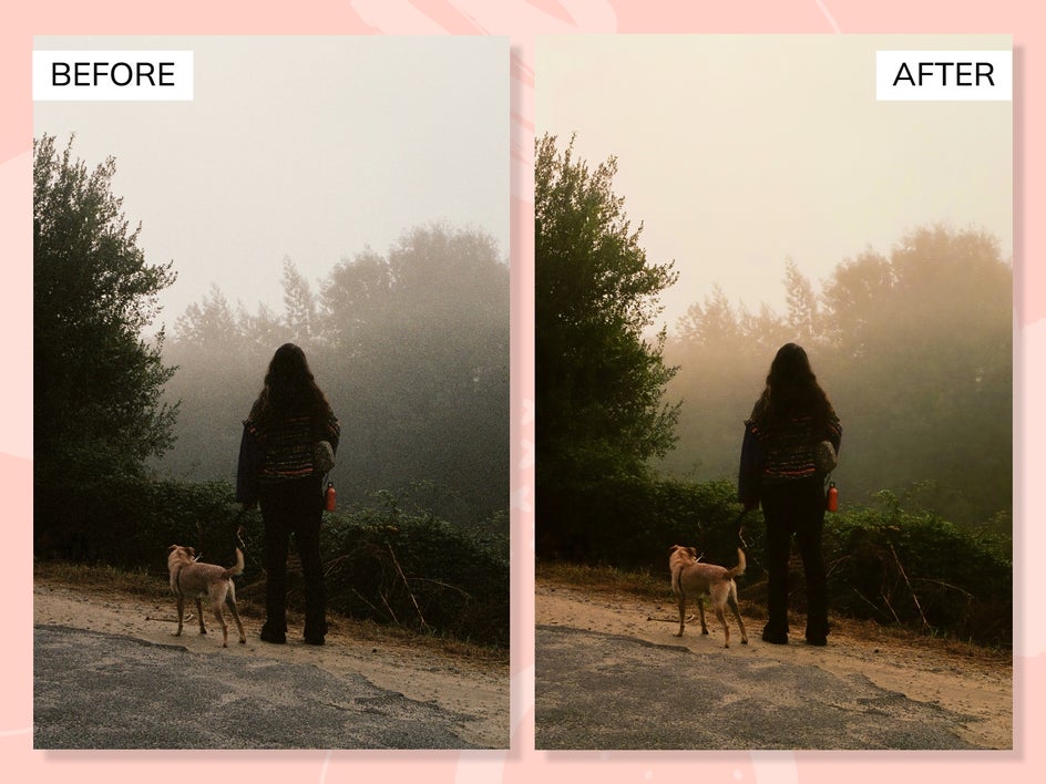 denoise-analog-photos-vibrant-colors-dlx